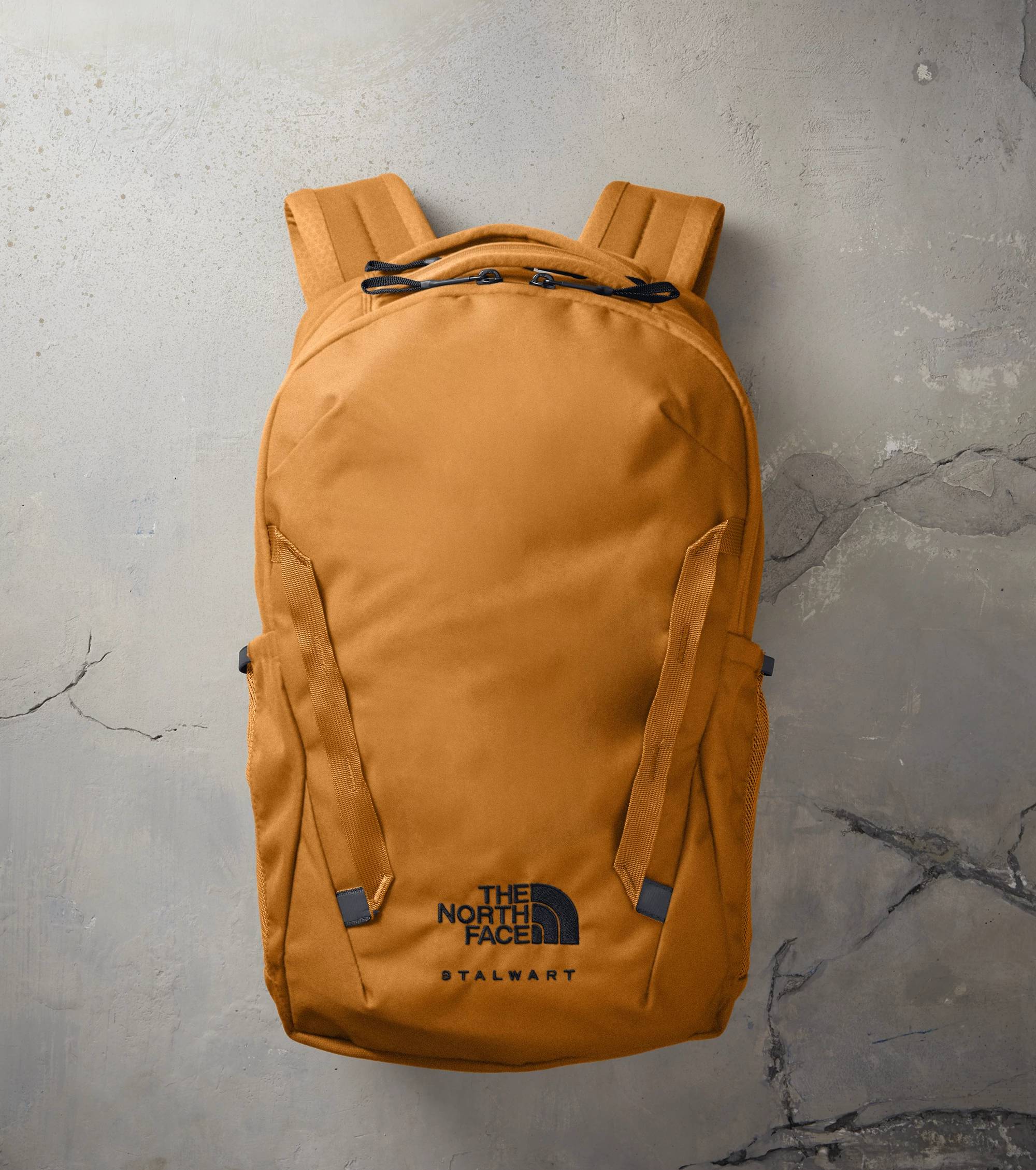 The North Face Stalwart Backpack