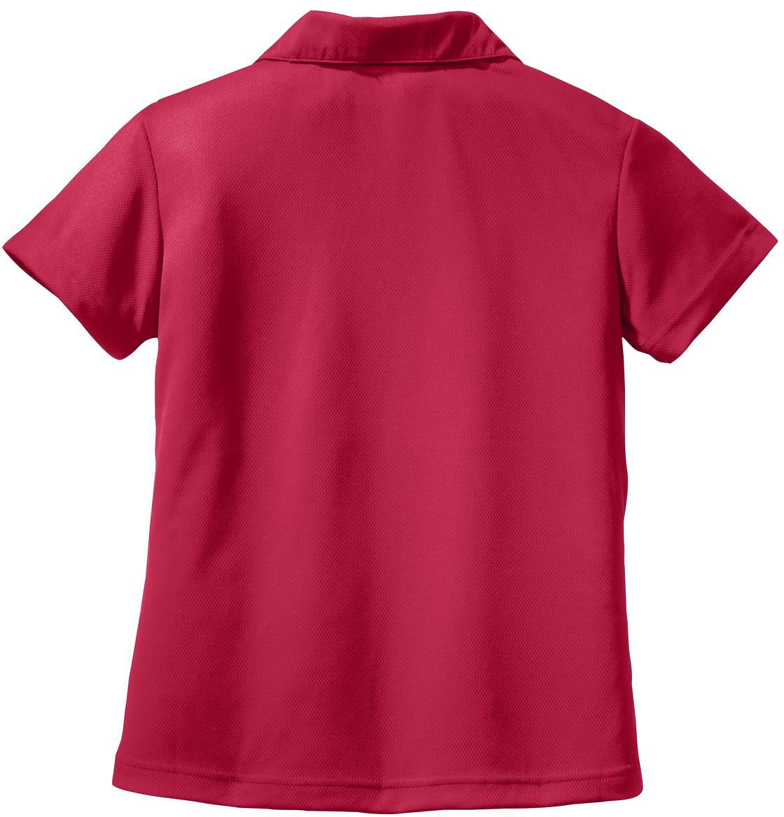 Port Authority Ladies Dri-Mesh V-Neck Polo Shirt