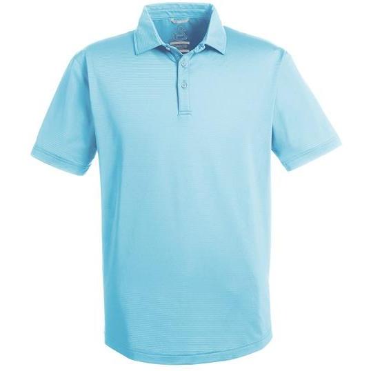 Swannies Ford Polo